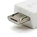 Salom Micro uCable -Coil USB data cable - Micro USB plug (white)