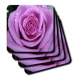 Purple Rose - Set Of 4 Coasters - Soft by 3dRose LLC