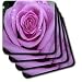 Flowers - Purple Rose - Coasters