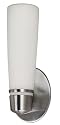 American Fluorescent ARW118SNEC Aria Outdoor Sconce, White Glass with a Satin Nickel Finish 18W