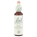 Bach Original Flower Remedies 20ml dropper - Red Chestnut 20ml (Aesculus carnea)
