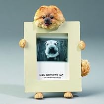 Pomeranian Dog Picture Frame 2 1/2" X 3 1/2"