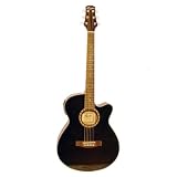 Kansas Acoustic/Electric Guitar