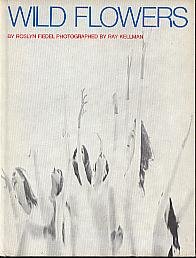 Wild flowers,