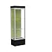 Waddell Edge Series Floor Display Case Frame Color: Satin, Base Color: Black, Case Backing: Pale Green