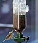 Eco Friendly Window Bird Feeder - Recycle Old Bottles!
