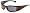 Metal Red & Black Frame/ Grey Lens
