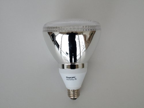24 Pack ($5.85 each) Par 38 Outdoor Flood Light CFL 65 Watt Replacement 31CEO%2B74 9L 24 Pack ($5.85 each) Par 38 Outdoor Flood Light CFL 65 Watt Replacement