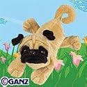 Webkinz - Pug