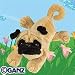 Ganz Webkinz Adopt-a-pet Plush Pug