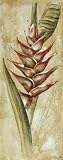 Tropical Orchid I Art Print Poster By Ruth Bush, 4  x 10 