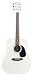 Johnson Spruce Top Acoustic Guitar, White