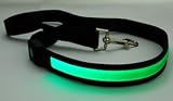 Bluecell Green Color LED Safety Dog Pet Leash + Bluecell Cable Tie