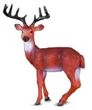 RSPCA Red Deer StagIMAGE
