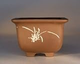 Bonsai Boy's Unglazed Square with Etched Designs