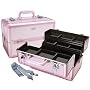 Sephora Brand Metro Train Case - Pink