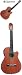 Giannini Acoustic/Electric Cutaway Classical Guitar with Gig Bag