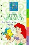 The underwater world of the Little Mermaid