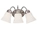 Sea Gull Lighting 44020-962 Westmont Three Light Vanity, Brushed Nickel Finish with Satin White Glass