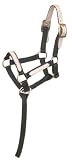 Miniature Nylon Break-Away Halter