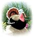Plush Wild Turkey Audubon Bird 6
