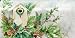 AIRBRUSHED LICENSE PLATES - BIRDHOUSE License Plate- #651
