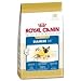   - Royal Canin Feline Breed Nutrition Siamese 38 Formula (15-lb bag)