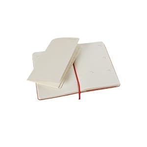 Moleskine 2014 Planner 18 Month Weekly Horizontal Red Pocket