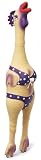 Charming Large Henrietta Chicken