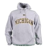 Michigan Wolverines Hooded Sweatshirts - Arch and Icon