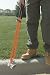 LAWN CLEANUP CADDY