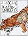 Books : The X-Ray Picture Book of Amazing Animals (The X Ray Picture Book)