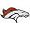 Denver Broncos