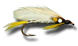 Black Ghost Fly Fishing Fly
