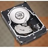 300GB 15000RPM 16MB SAS