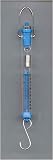 Buy Spring Scale - Tubular 250g by Science, Art and More