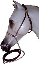 ARABIAN SILVER SHOW HALTER. 1/2 wide leather with brite cut edge bars and oval ear rosettes. Complete with 5/8 lead. Arab Horse size