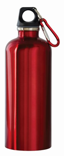  : New Wave Enviro Tinted Stainless Steel Water Bottle (0.6-Liter, Red)