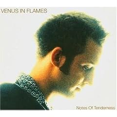 Notes of Tenderness