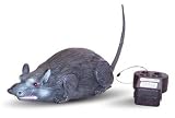 Westminster Radio Controlled Rat - Model# 3981 - B00070IOGU