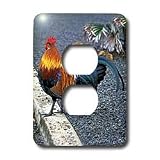 Farm Animals - Rooster - Light Switch Covers - 2 plug outlet cover