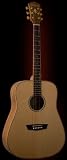Washburn WD55 Series WD55S Acoustic Guitar