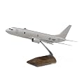 P-8A Poseidon Exeutive Model