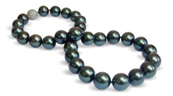 12 x 14mm peacock black Tahitian south sea cultured pearl necklace with 18K gold clasp