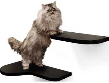 Harmony Loft Cat Shelf Set in Espresso, Pack of 2 shelves