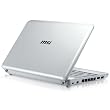 MSI Wind U100-279US 10-Inch Netbook (1.6 GHz Intel Atom Processor, 1 GB RAM, 160 GB Hard Drive, XP Home, 6 Cell Battery) White