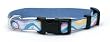 Crazy Dogs Canvas Dog Collar, 1-Inch Wide, Adjustable 18 - 24-Inch