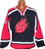 Kevin Harvick - Gm Goodwrench Red Hockey Jersey