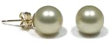 14k Yellow Gold 8mm Dyed Champagne Mother of Pearl Stud Earrings