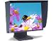 21 LCD-Monitor